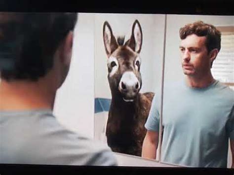 Listerine Advert Donkey 2020 .